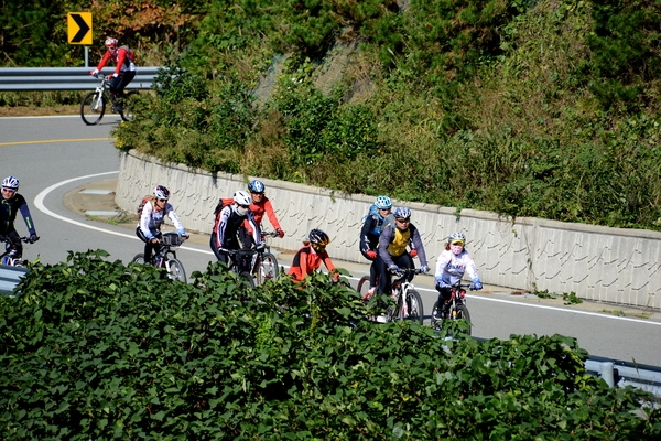 천도천색 천리길 자전거 투어-흑산도편6 5