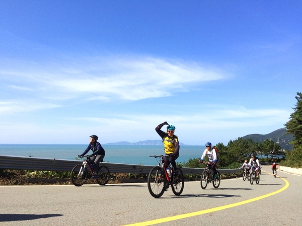 천도천색 천리길 자전거 투어-흑산도편10 2