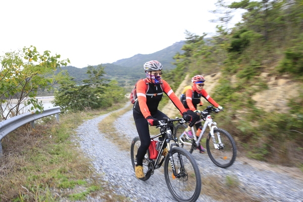 비금 도초 투어 사진 3