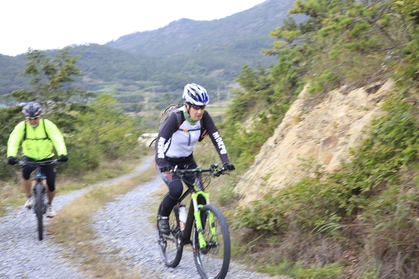 비금 도초 투어 사진 1