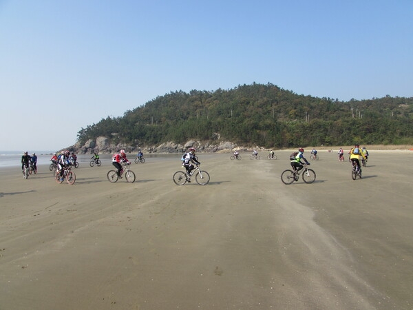 임자도 투어 3 2