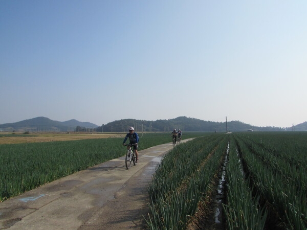 임자도 투어 3 3