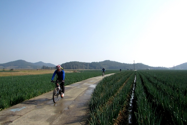 천도천색 천리길 임자도 자전거투어2 5