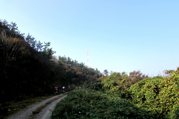 천도천색 천리길 임자도 자전거투어2 1