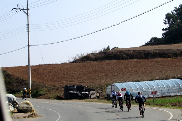 천도천색 천리길 임자도 자전거투어3 3