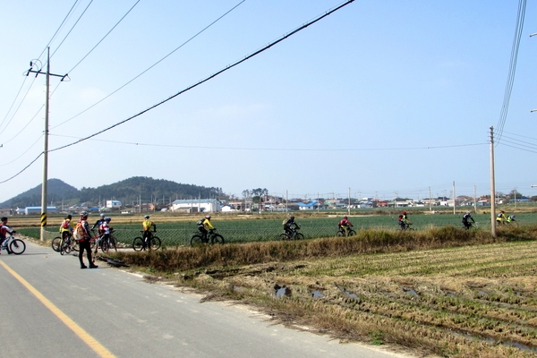 천도천색 천리길 임자도 자전거투어4 4