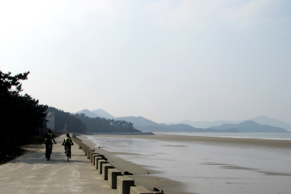 천도천색 천리길 임자도 자전거투어4 5