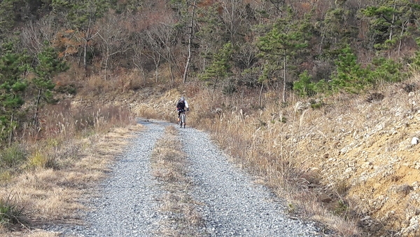 신의도 하의도 천도천색 천리길 자전거여행 사진1 4