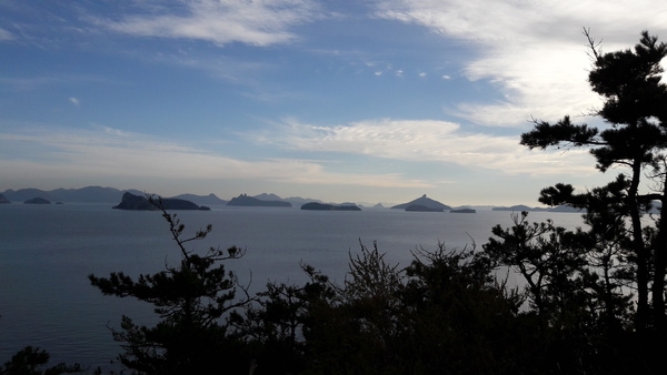 신의도 하의도 천도천색 천리길 자전거여행 사진1 5