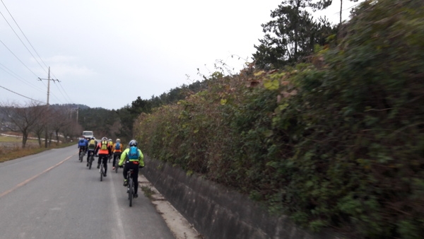 신의도 하의도 천도천색 천리길 자전거여행 사진2 2