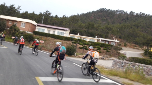 신의도 하의도 천도천색 천리길 자전거여행 사진2 1