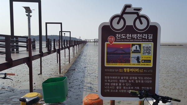 순창 자전거 연맹 1박2일 신안 증도 투어 3