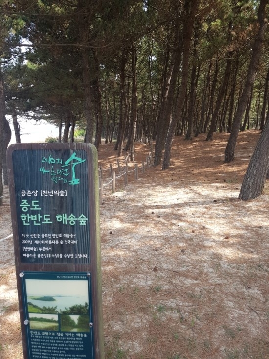 5/13 증도 라이딩 후기 1