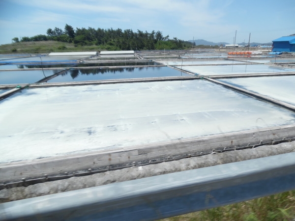 자전거 타고 백두여행  라이딩 후기 2