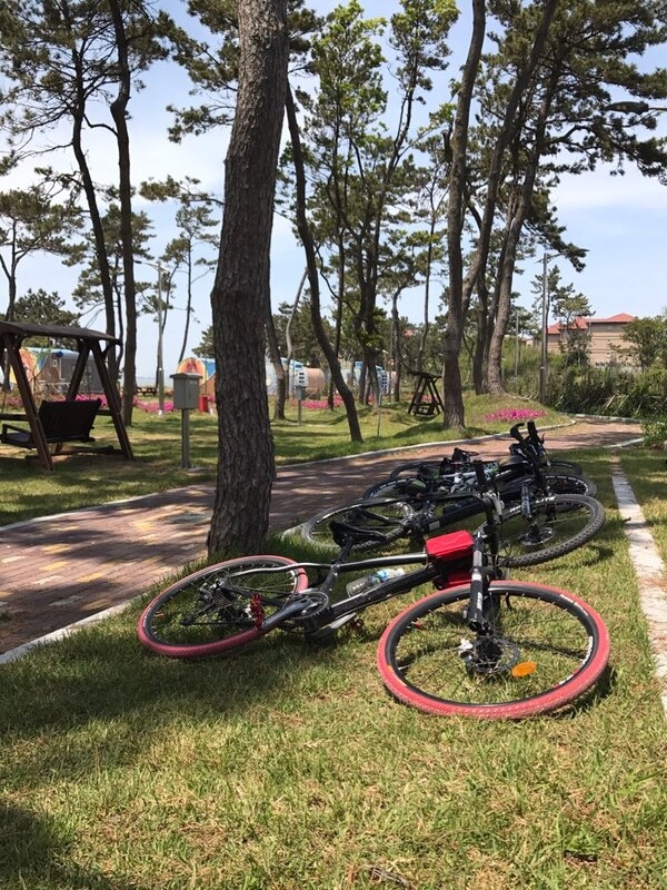 증도에서 라이딩과 캠핑을 ~~~~ 1