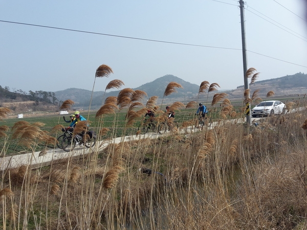 신안 섬 자전거 투어 (비금도초) 3