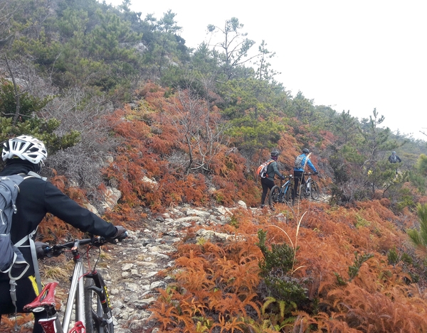 신안 섬 자전거 투어 (비금도초) 1