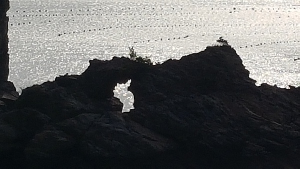 신안 천도천색 7코스 흑산도 라이딩(월곡바이크) 2