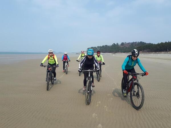 2코스 증도 3코스 임자도 자전거투어 3