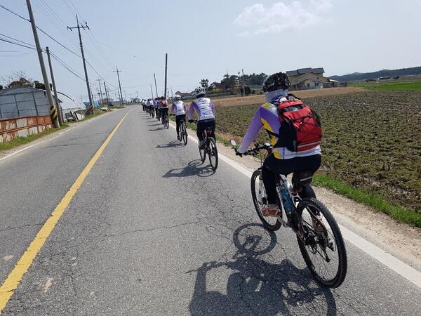 천도천색 천리길 2코스 증도 ( 4월 2일 ) 아름다운자전거팀 라이딩후기 5