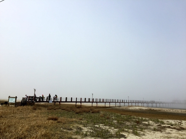 짧은 후기(증도) 4