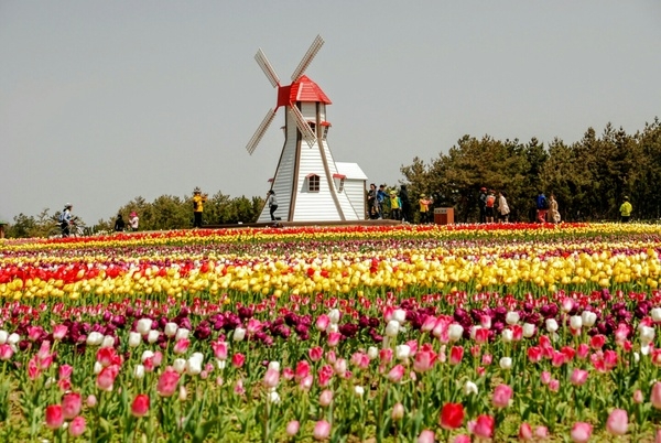 증자도 임자도 라이딩 후기 2