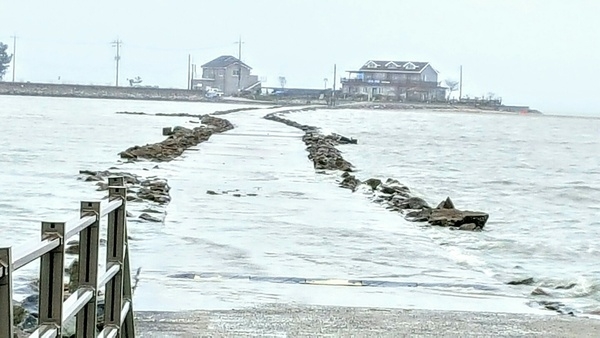 증자도 임자도 라이딩 후기 1