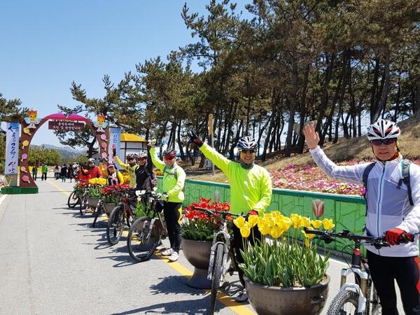 천도천색 자전거투어 임자도,증도 여행후기 2