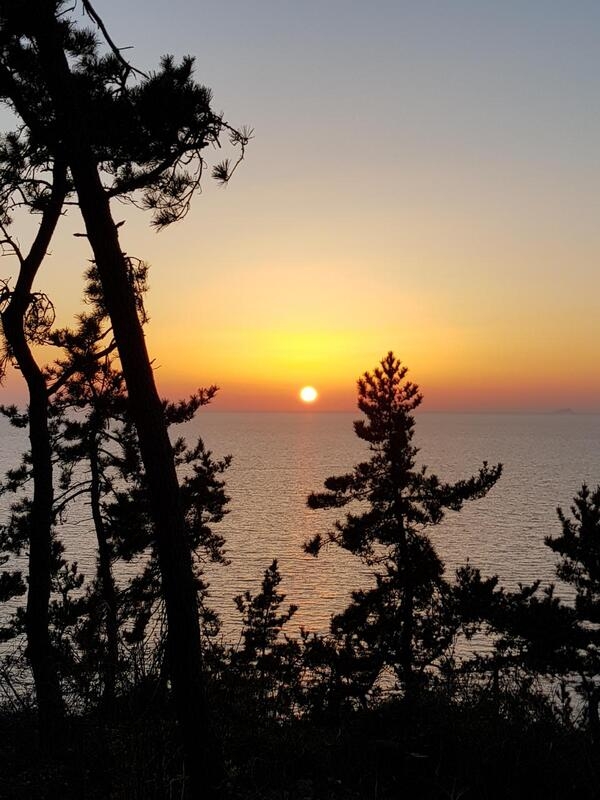 천도천색 자전거투어 임자도,증도 여행후기 3