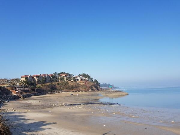 천도천색 자전거투어 임자도,증도 여행후기 4