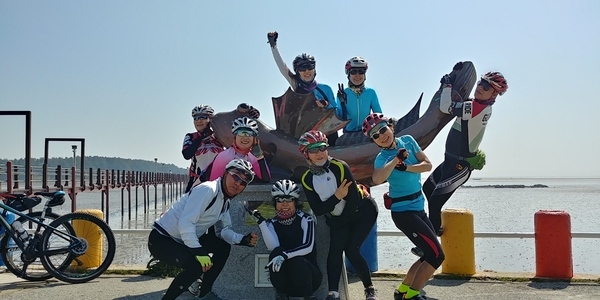 슬로우시티 증도,튤립의천국 임자도 3