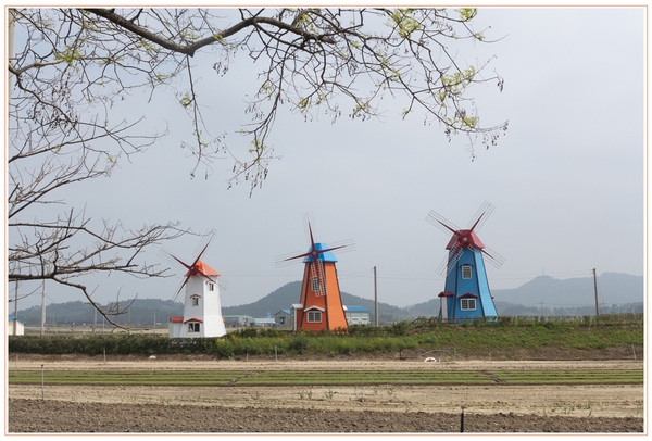 천도천색자전거투어 후기 2