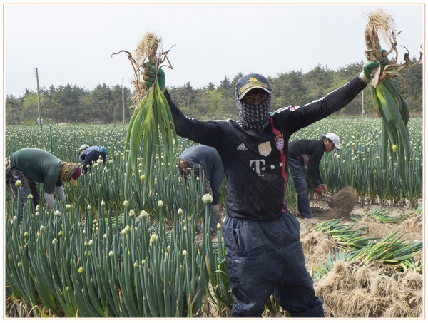 천도천색자전거투어 후기 4