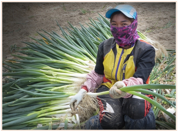 천도천색자전거투어 후기 5