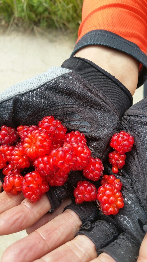 흑산도,신의 하의도 라이딩  마치고(민속 자전거동호회) 3