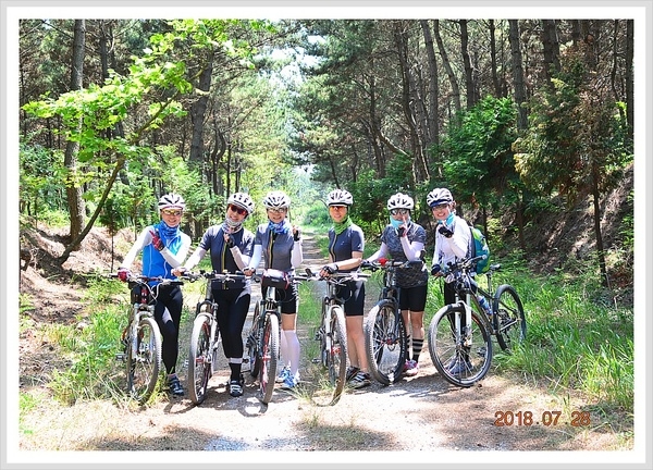 신안 증도 임자도 라이딩 2