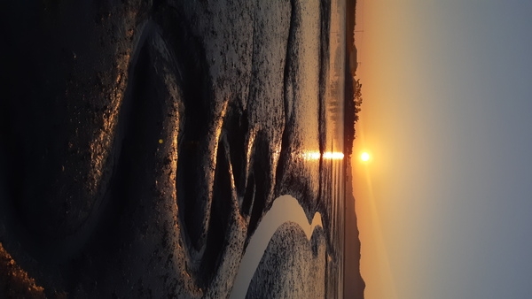 증도(쿠바81 자전거 동호회) 여행후기 2