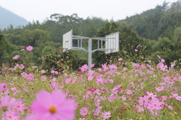 노두 너머 또 노두, 병풍도/매화도 라이딩 3