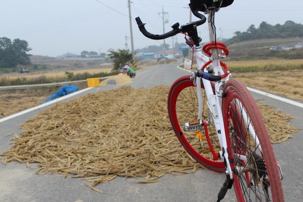 노두 너머 또 노두, 병풍도/매화도 라이딩 1