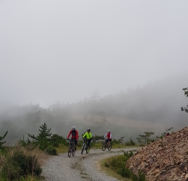 안좌, 팔금, 암태, 자은도 1박2일 단체 라이딩 후기 2