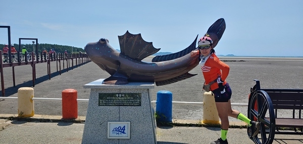 63라이더스 → (신안1004) 점암터미널, 임자도, 증도, 자은도, 암태도, 압해읍, 안좌면, 비금, 도초도, 암태면 3