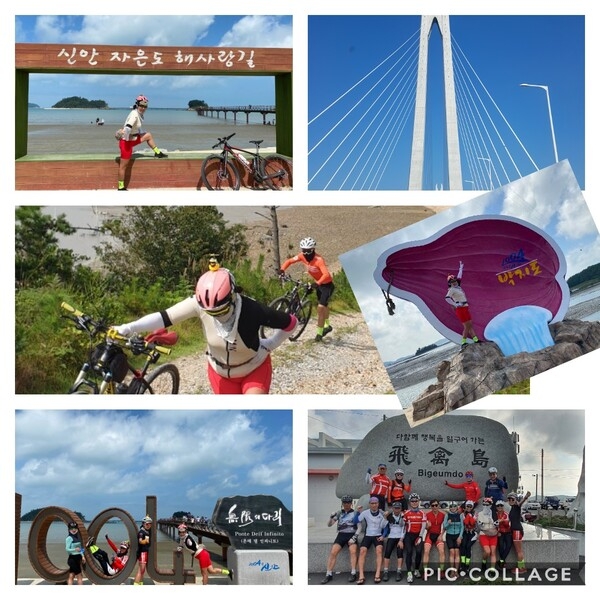 63라이더스 → (신안1004) 점암터미널, 임자도, 증도, 자은도, 암태도, 압해읍, 안좌면, 비금, 도초도, 암태면 4