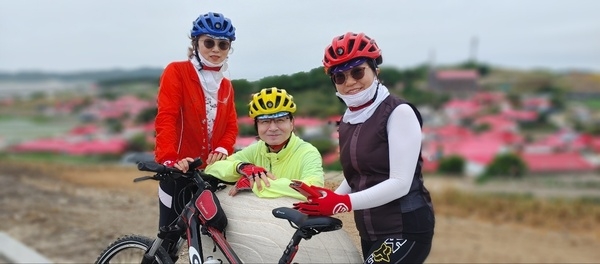 신안 천사섬/퍼플섬/섬산티아고 여행후기(고대82바이크) 2