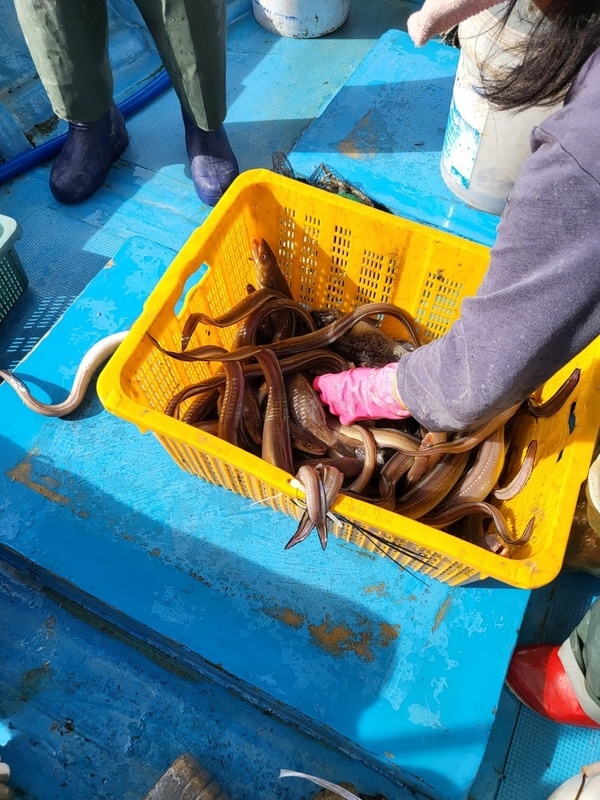 흑산도 1박2일 자전거여행 후기(현스바이크존) 4