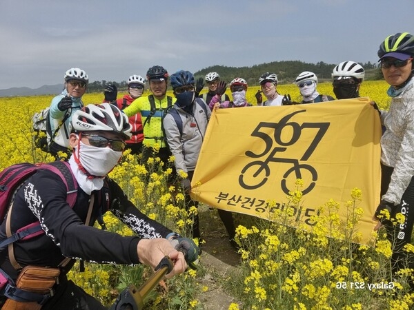 천사의섬(자은도,암태도,팔금도,안좌도)자전거 라이딩을 다녀왔네요 1