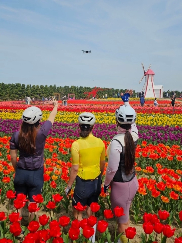 환상적인 임자도, 튤립 축제를 가다 2