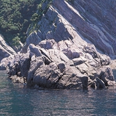 홍도9경 거북바위