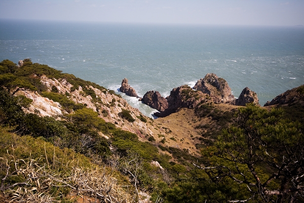 홍도2구 대풍리 1