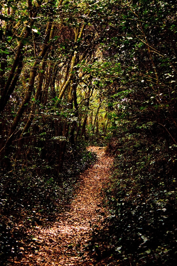 한국의 100대 명산 깃대봉 2