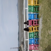 가끔 불어오는 증도의 봄바람과 함께 증도 8경을 다녀와요